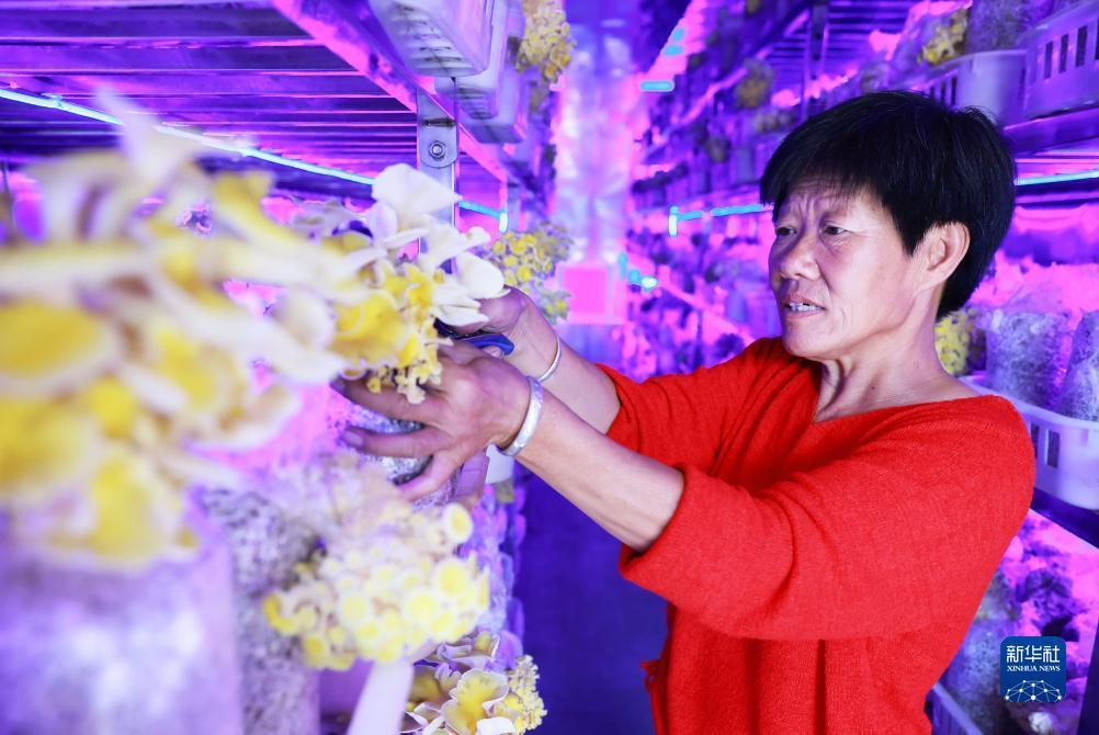 糖果派对试玩2000体验金